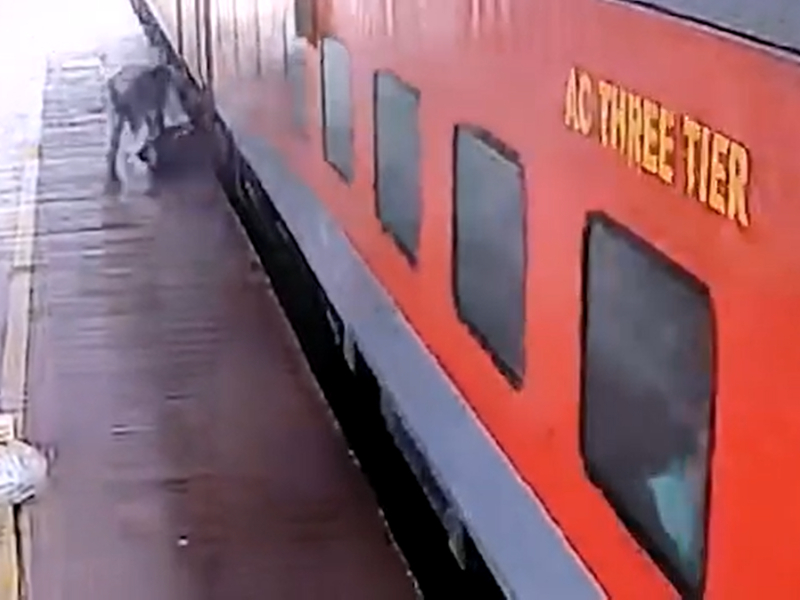 Alert cop saves man who fell while getting down moving train in eastern India
